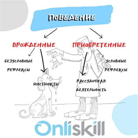 Врожденные инстинкты и игровое поведение