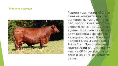 Все кормления проходят в норме