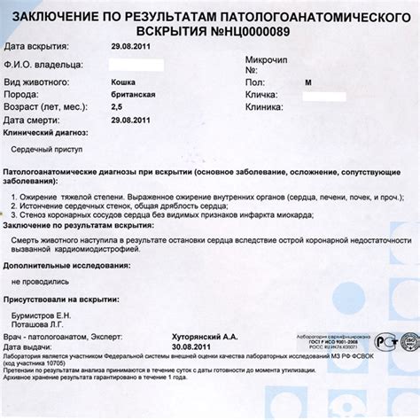 Вскрытие животного