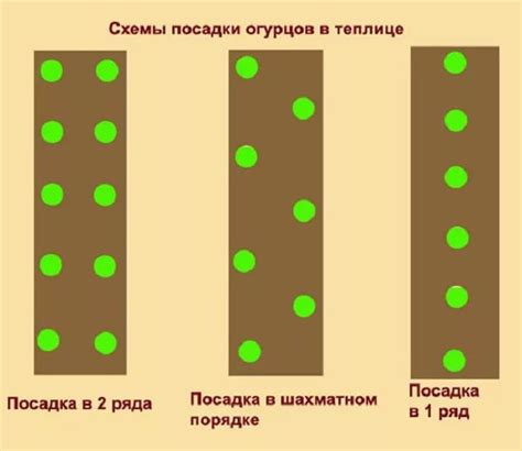 Вставляйте картонные перегородки между огурцами