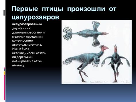 Встреча с двуногими