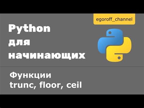 Встроенная функция input()