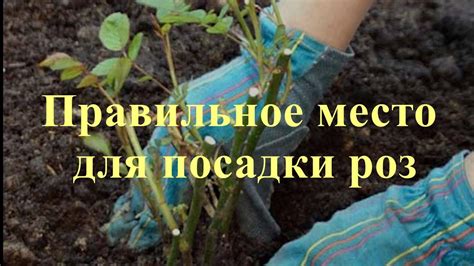 Выбирайте правильное место для посадки