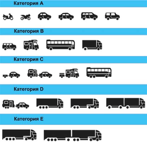 Выбор ПТС: какой тип лучше и почему