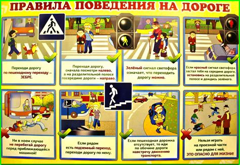 Выбор безопасного времени для прогулок