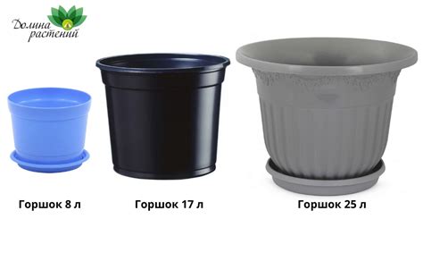 Выбор горшка