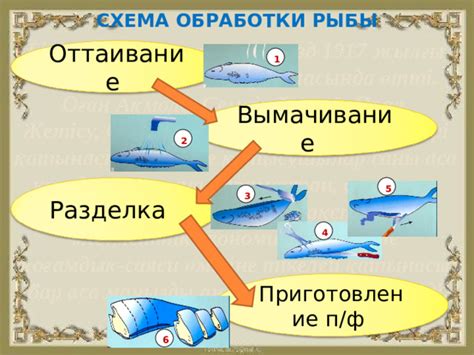 Выбор и оттаивание рыбы
