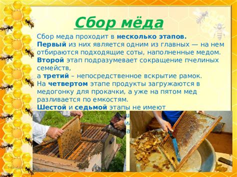 Выбор и подготовка меда