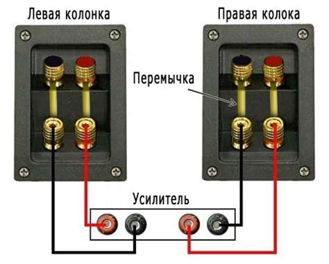 Выбор и установка усилителя для овалов: советы