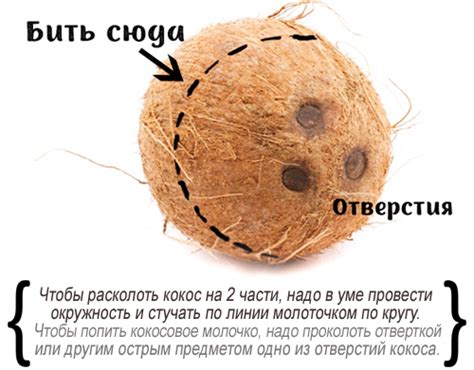 Выбор кокосового ореха под свечу
