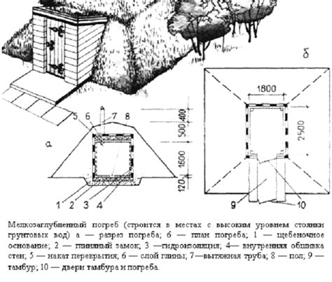 Выбор места под погребом