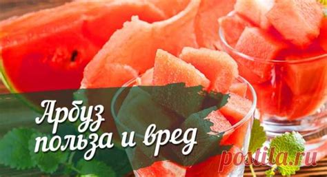 Выбор места покупки и осмотра арбуза