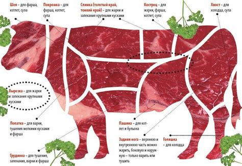 Выбор мяса и правильная пропорция ингредиентов