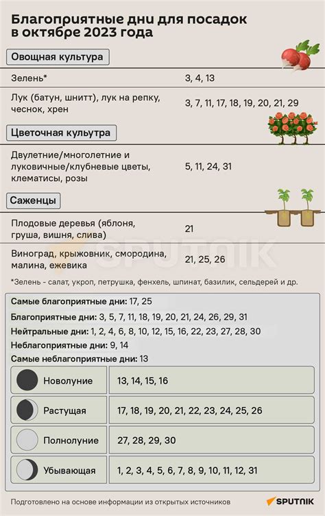 Выбор оптимального времени и метода посева