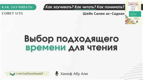 Выбор подходящего времени и дня для визита