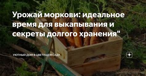 Выбор подходящего момента для выкапывания