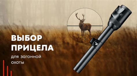 Выбор подходящего неймтега для прицела