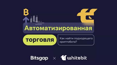 Выбор подходящего типа бота
