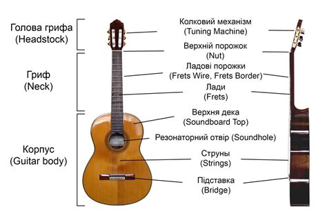 Выбор подходящей гитары для переквалификации