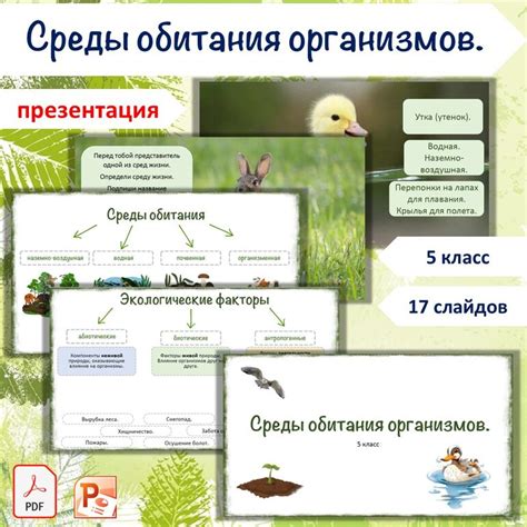 Выбор подходящей среды обитания