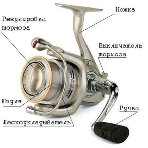 Выбор правильной глубины для рыбной ловли