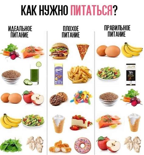 Выбор правильной питательной диеты