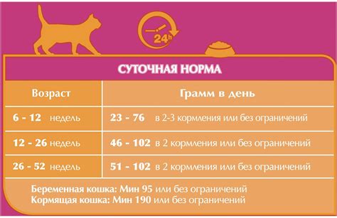 Выбор правильной рыбы для кормления котят