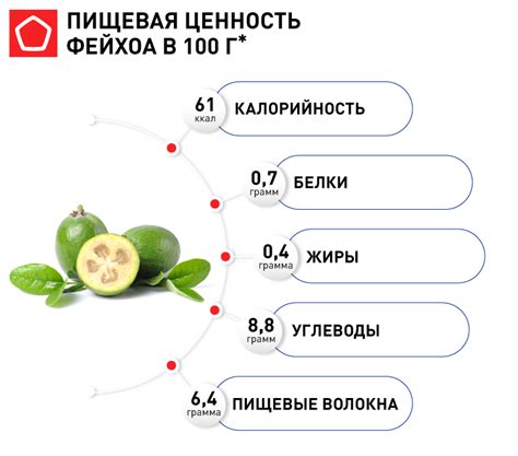 Выбор правильной фейхоа для консервации