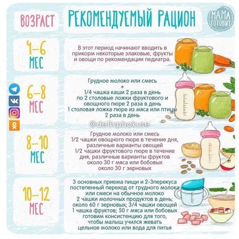 Выбор продуктов для прикорма