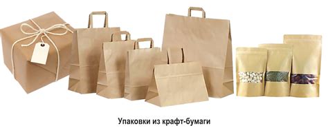 Выбор растительных материалов для создания бумаги