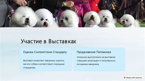 Выбор родительских особей