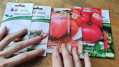 Выбор сорта винограда для северо-западного региона