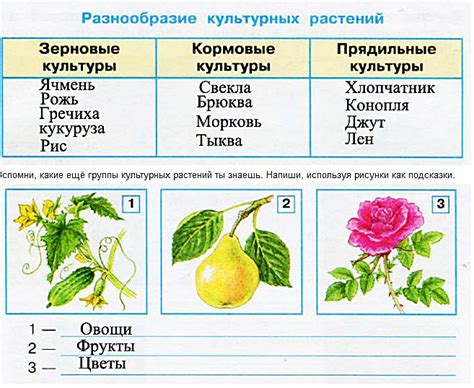Выбор сортов и подготовка растений