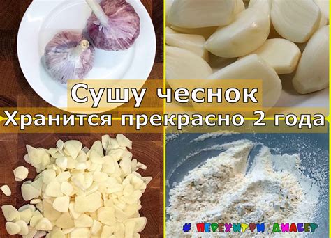 Выбор способа сушки чеснока