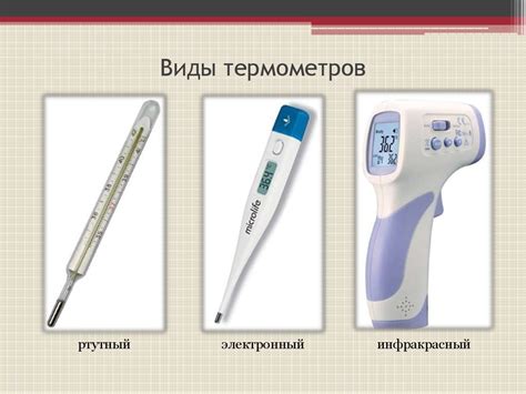 Выбор термометра для измерения кошачьей температуры