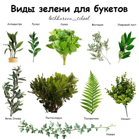 Выбор цветов и зелени