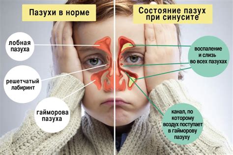 Выделение места для глаз и носа