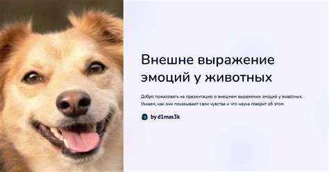 Выражение эмоций через прыжки