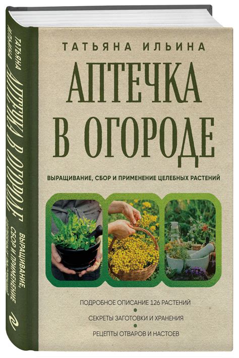 Выращивание и уборка растений: подробности процесса