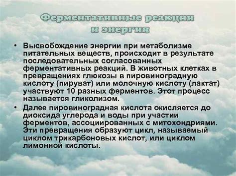 Высвобождение питательных веществ
