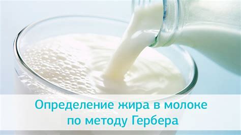 Высокое содержание жира в молоке