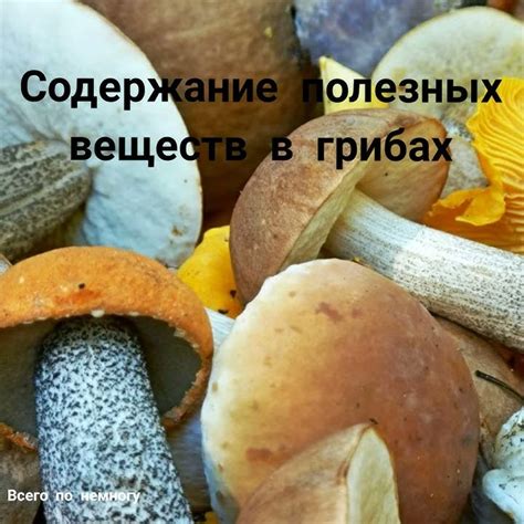 Высокое содержание натрия в грибах: проблема для гипертоников