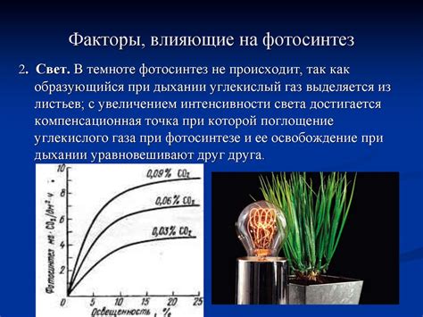 Выявление влияния замачивания на полбу