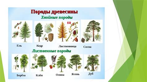 В Беларуси: способы и признаки