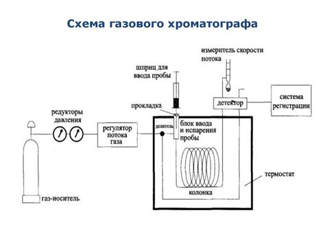 Газовая хроматография для изучения омега-6 кислот