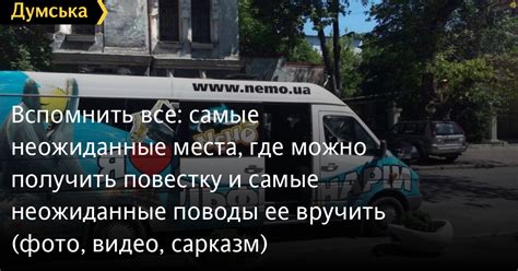 Где искать милую бойку: неожиданные места
