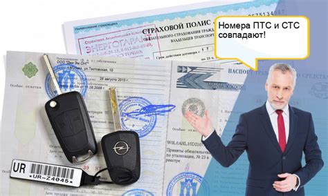 Где можно узнать номер СТС по ПТС