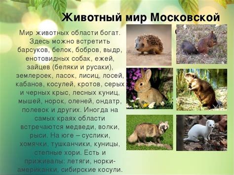 Где найти информацию о школах Московской области