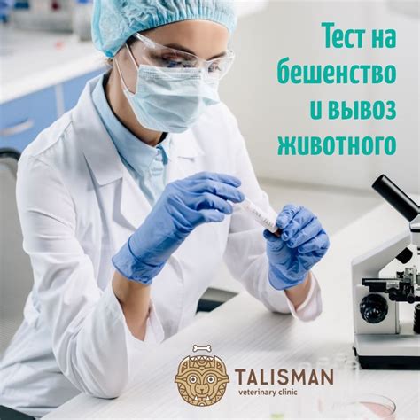 Где найти специальные тесты на бешенство для самостоятельной проверки