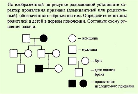 Генетика и родословная: основные понятия
